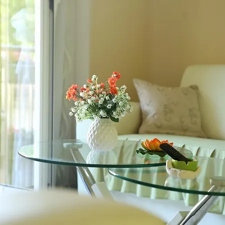 Apartment Lukic Vrnjačka Banja